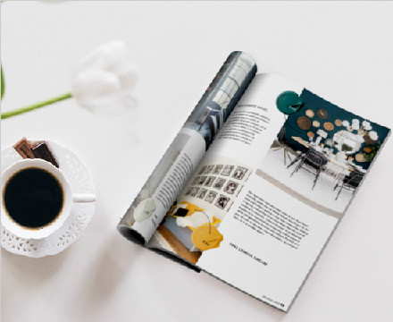 美國鉆石涂料2019春季居家雜志