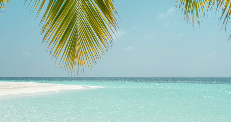 夏季色彩打造自己的個(gè)人天堂！